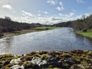 Irish Angling Update π£ 20 February 2026