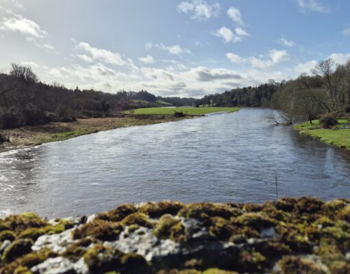 Irish Angling Update π£ 20 February 2026