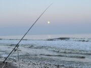 Irish Angling Update 6 February 2026