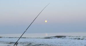 Irish Angling Update 6 February 2026