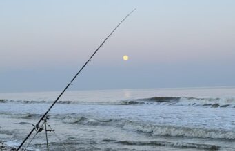 Irish Angling Update 6 February 2026
