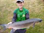 The Story of a Record Mullet