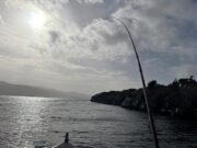 Irish Angling Update π£ 27 February 2026 Bent into a salmon on Lough Currane