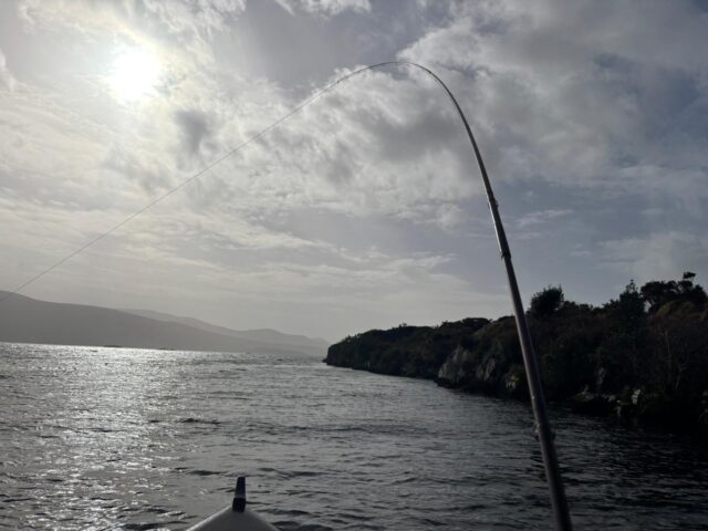 Bent into a salmon on Lough Currane