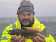 Cuckoo wrasse brighten up dull day for Northwest Charters