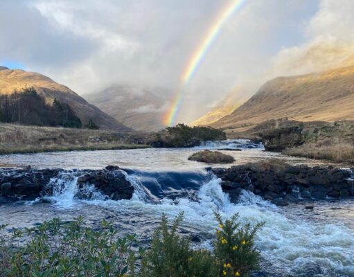 Irish Angling Update 🎣 13 February 2026