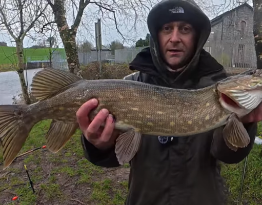 Fishing in the Rain with Louth Pike and Trout