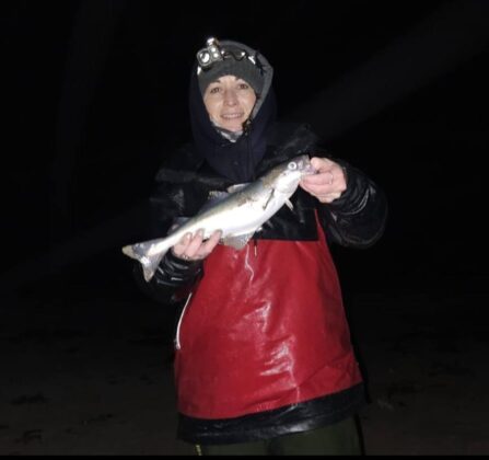 coalfish