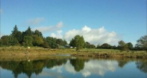 Sign up now! – Women’s Beginners Fly Fishing Days Announced at Laois Angling Centre