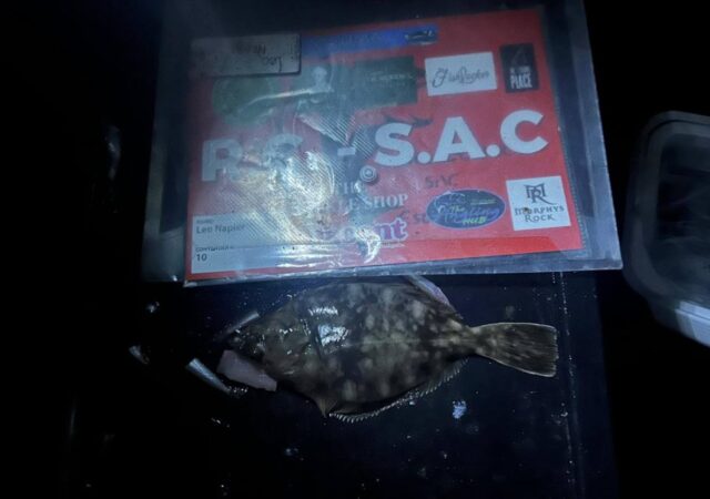 flounder
