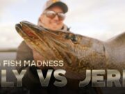 Watch Team Wildhunter compete in Fly vs Jerk, Series 17, Episode 2