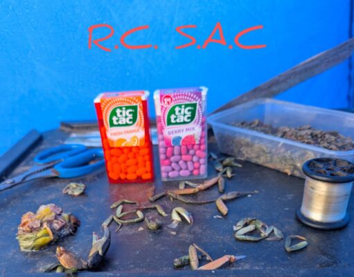 Mixed tactics work well for Rebel anglers at Monatrae tic tacs