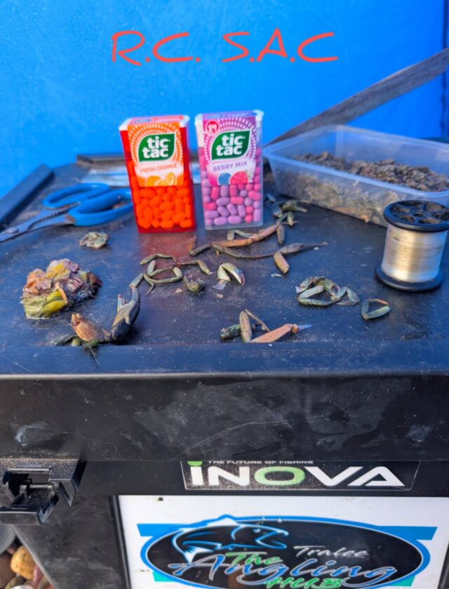 tic tacs tic tacs