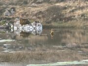 All quiet in West Kerry as Currane still waits for an uptick in fortunes