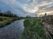Irish Angling Update π£ 2 April 2026