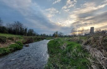 Irish Angling Update 🎣 2 April 2026