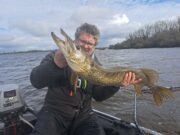 Fine pike from Fergus system for angling duo