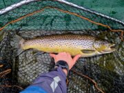Fine trout on homemade lure for Artem