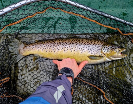 Fine trout on homemade lure for Artem