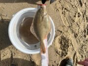 Slow fishing for Ringsend Irishtown Anglers at Morriscastle