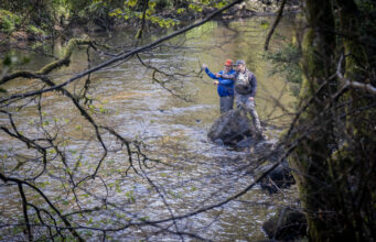 ☘️ Irish Angling Update 🎣 20th March 2026 ☘️