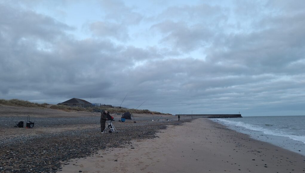 Burough SAC at South Beach, Arklow