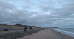 Burough SAC at South Beach, Arklow