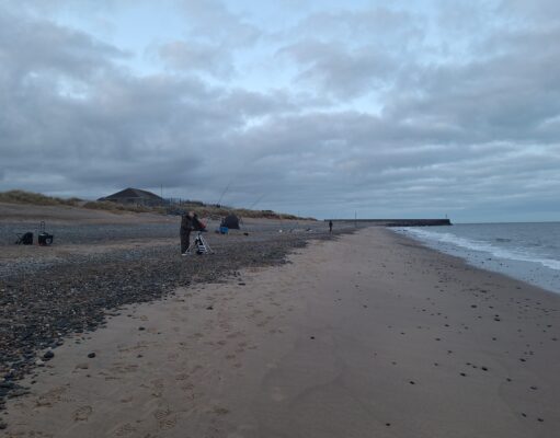 Borough SAC at South Beach Arklow – a quiet venue or quite the venue? Burough SAC at South Beach, Arklow