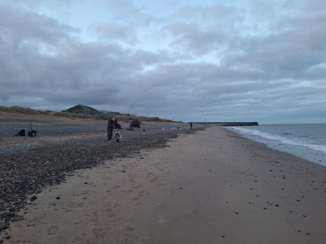 Burough SAC at South Beach, Arklow
