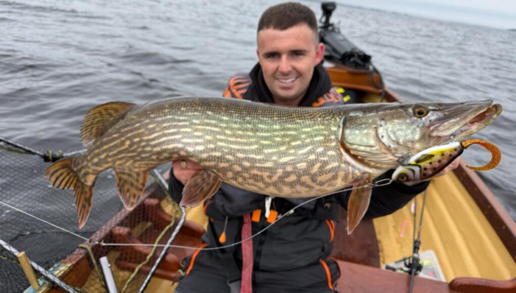 Lough Derg pike