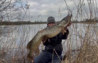 Shannon Pike Delight for Alex from Brazil