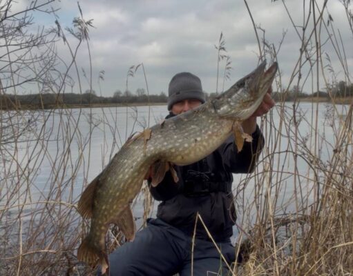 Shannon Pike Delight for Alex from Brazil