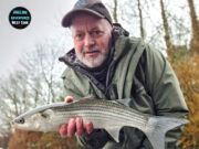 Specimen mullet for Angling Adventures West Cork