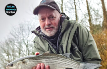 Specimen mullet for Angling Adventures West Cork