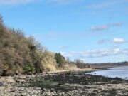 Rinnashark SAC Hold Second Club Match of the Year at Cheekpoint Strand