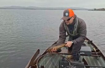Latest news from Piscari-Fly including an update from Lough Corrib