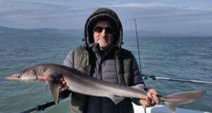 Short Weather Window Produces Spurdog and Whiting for Wicklow Boat Charters