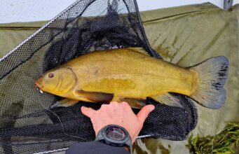 Fine tench fishing for innovative angler!