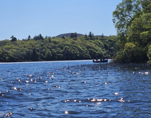 Improving prospects on Lough Conn with mayflies beginning to show and water levels falling