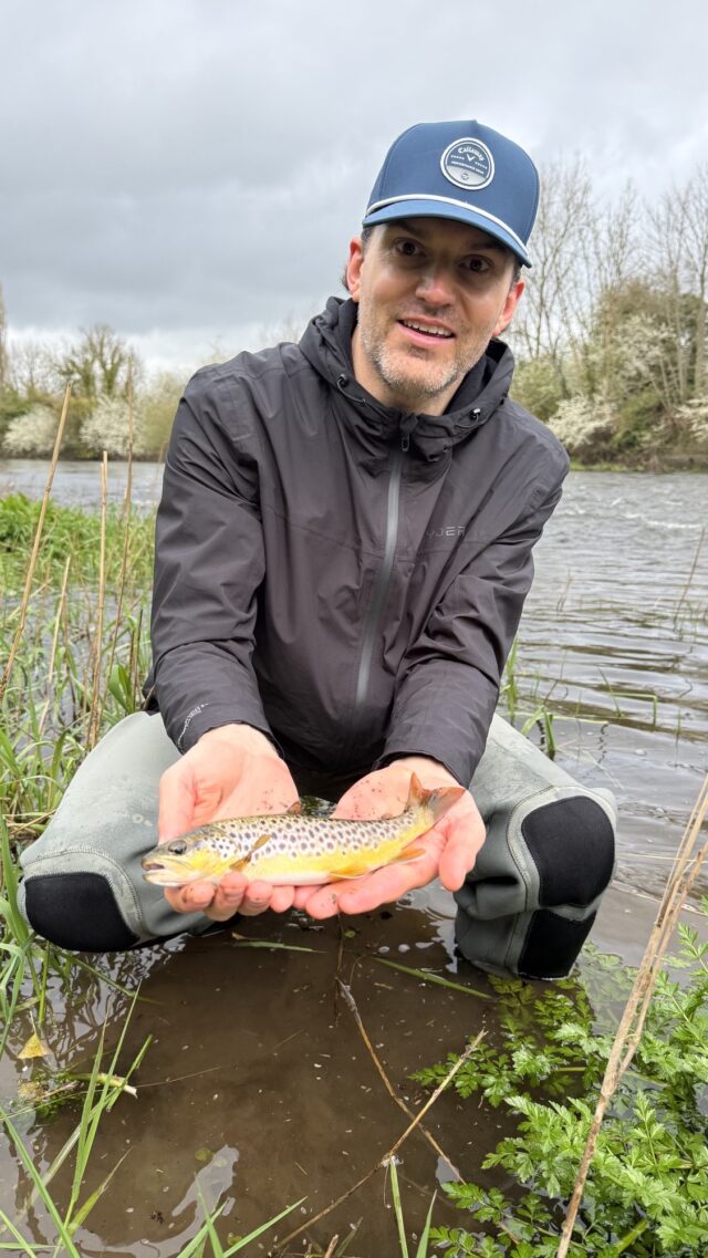 another Nore trout