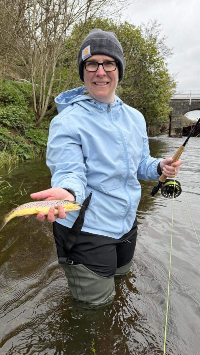 trout on fly