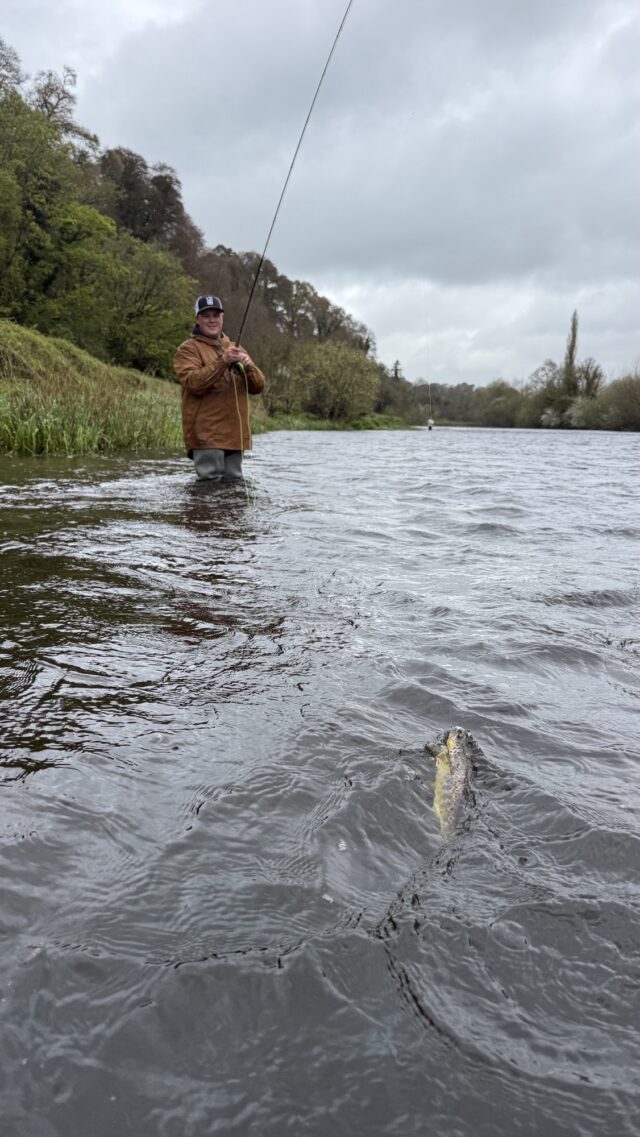 fish on