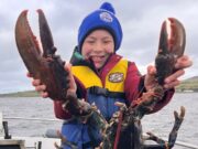 Mulroy monster for citizen scientist Darragh (12)
