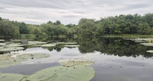 Irish Angling Update ๐ฃ 22 May 2026