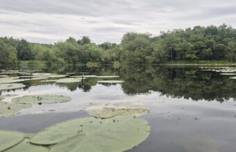 Irish Angling Update 🎣 22 May 2026
