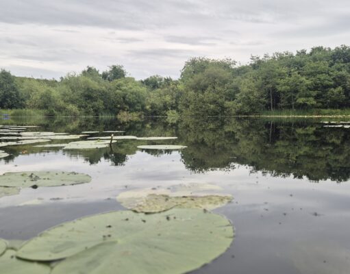 Irish Angling Update π£ 22 May 2026