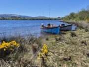 Mayfly up on Corrib