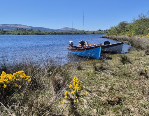 Mayfly up on Corrib