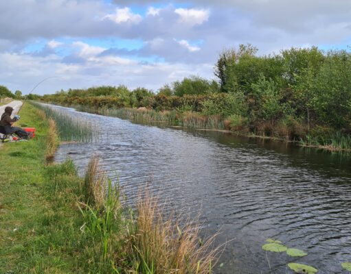 Irish Angling Update 🎣 15 May 2026