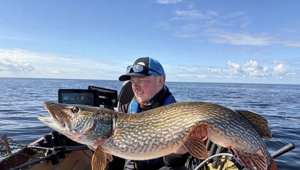 31lb pike for Senan Stanley, Lough Derg